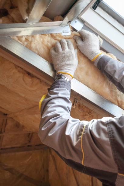 Paw Paw Lake, MI Insulation Contractor Company