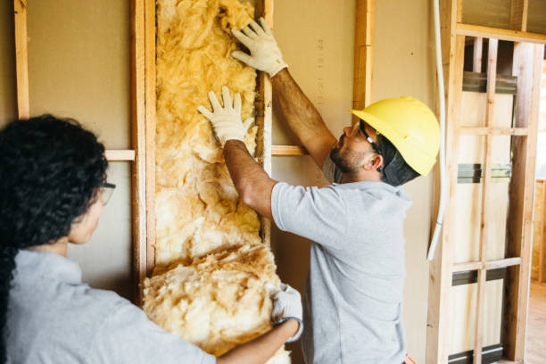 Paw Paw Lake, MI Insulation Contractor Company