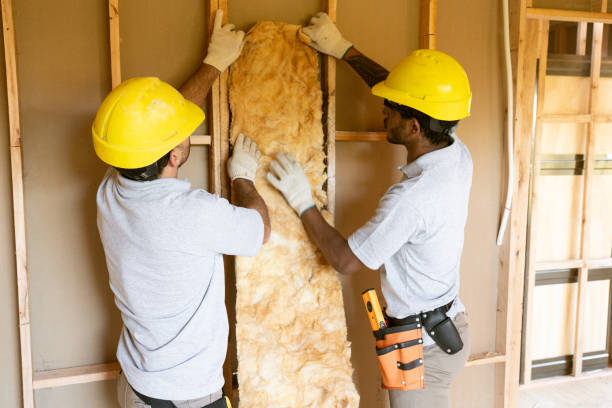 Paw Paw Lake, MI Insulation Contractor Company