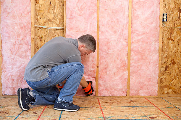 Best Local Insulation Services  in Paw Paw Lake, MI