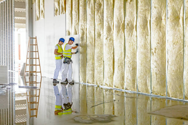 Best Attic Insulation Installation  in Paw Paw Lake, MI